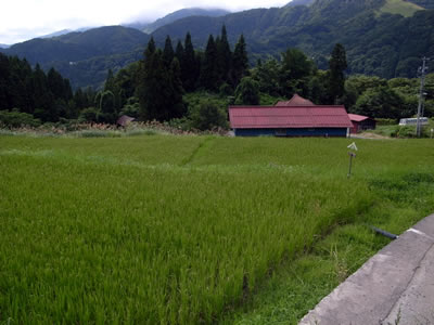 a0132454_14513918.jpg