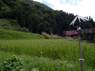 a0132454_14531425.jpg