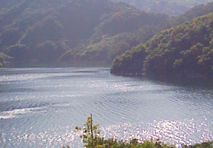 2009年「恒例:徳山村キャンプ」_f0197754_0493435.jpg