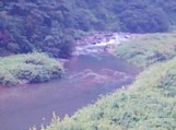 2009年「恒例:徳山村キャンプ」_f0197754_0524934.jpg