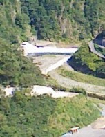 2009年「恒例:徳山村キャンプ」_f0197754_055355.jpg