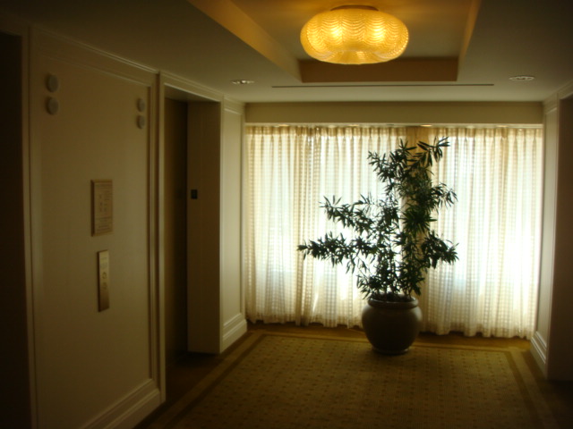 f0036857_2329413.jpg