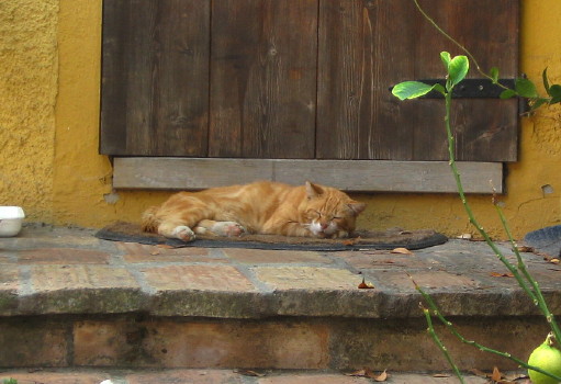f0077159_1771142.jpg
