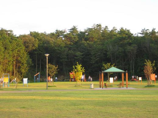 a0129562_23132659.jpg