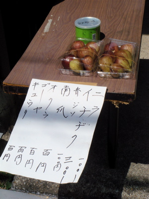 e0125762_2324016.jpg