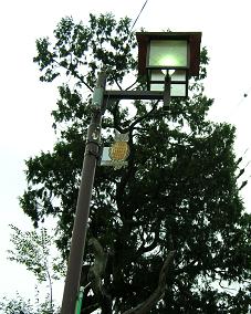 ふくろう探検隊出動　鳳来寺よ　さようなら_f0139963_6182665.jpg