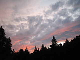 b0141264_1956825.jpg