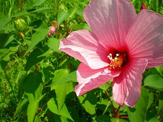 b0056570_0133469.jpg
