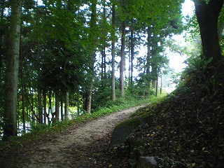b0056570_024972.jpg
