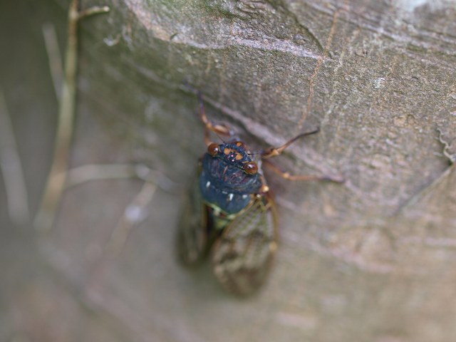 b0135573_21354336.jpg