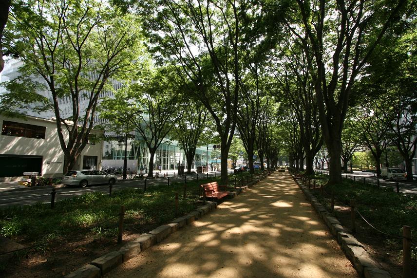 ゴールデンスランバーロケ地 仙台メディアテーク周辺_a0107574_22384431.jpg