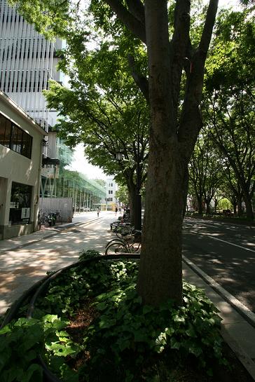 ゴールデンスランバーロケ地 仙台メディアテーク周辺_a0107574_22411222.jpg