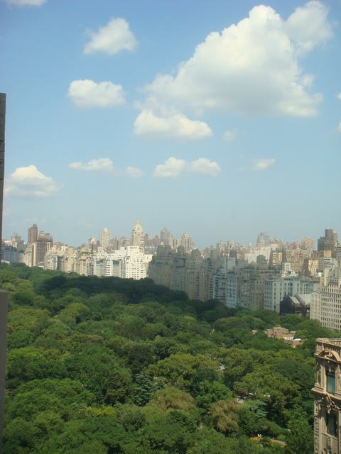 d0100880_10341536.jpg