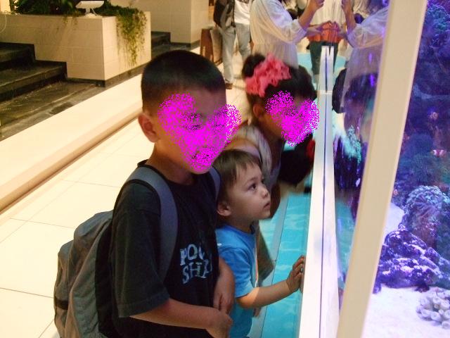 e0123680_16215929.jpg