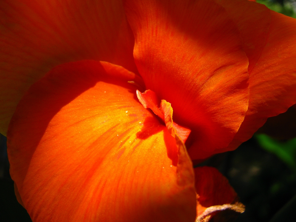 e0024081_15511348.jpg