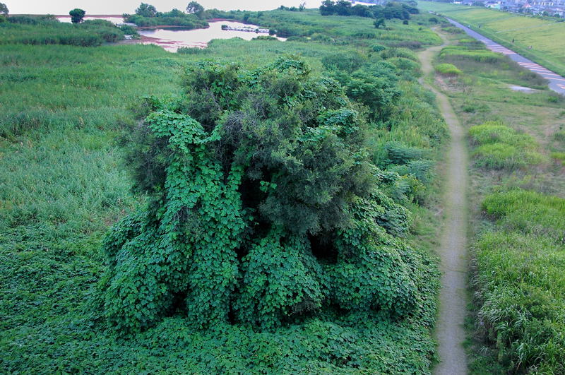 e0169286_13412816.jpg