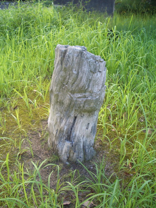 b0118987_87342.jpg