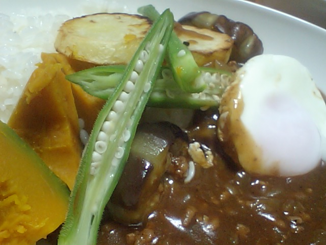 クミン香る☆ひき肉いっぱい野菜いっぱいカレー☆_b0180990_1342345.jpg