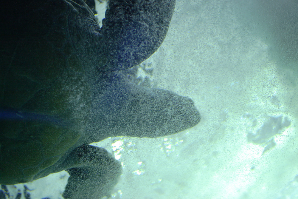 c0040891_055350.jpg