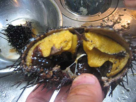 c0004193_176479.jpg