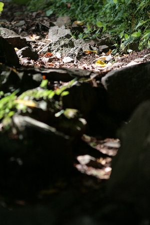 d0133693_73563.jpg