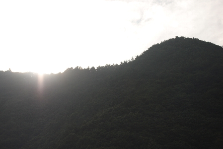 d0133693_7364551.jpg