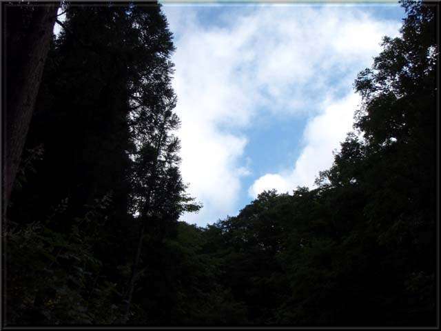 a0043395_19594220.jpg