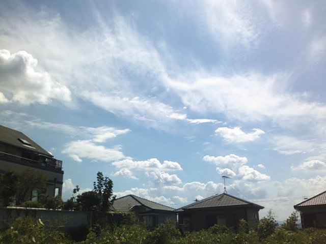 f0077595_1430621.jpg