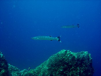 f0079996_12585768.jpg
