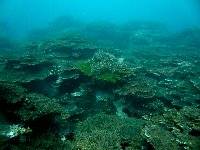 f0079996_13172357.jpg