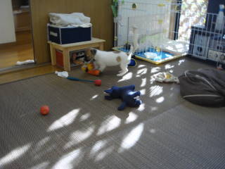 c0191597_8303499.jpg