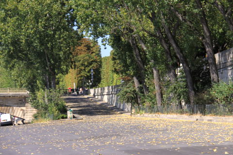 c0090198_203365.jpg