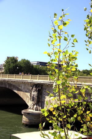 c0090198_215281.jpg