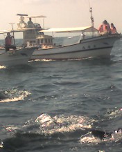 c0164401_1714444.jpg