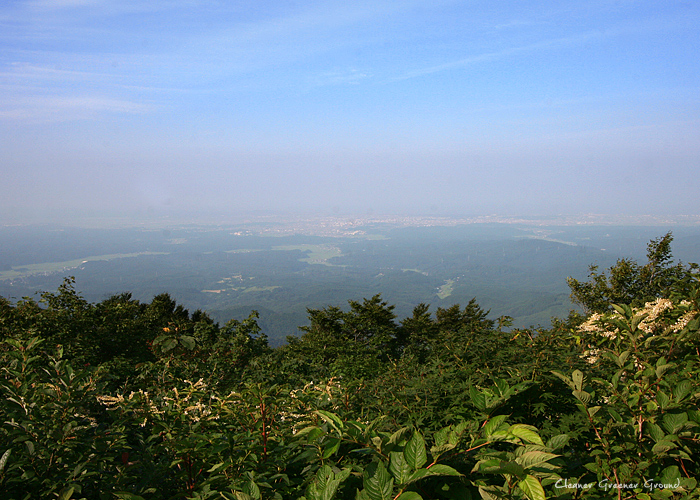d0112801_22493897.jpg