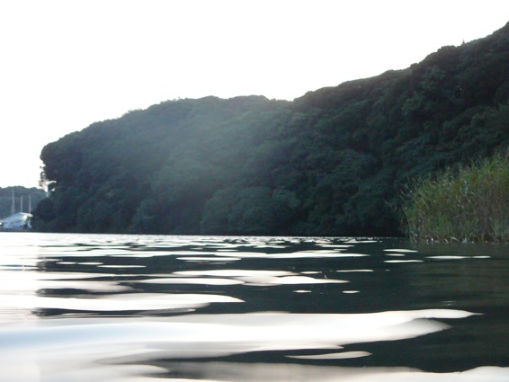 e0181802_8313510.jpg