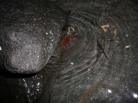 e0181802_832268.jpg
