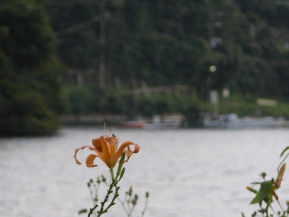 e0181802_8403175.jpg