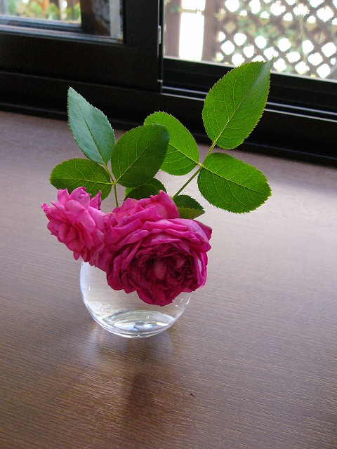 a0123003_1225106.jpg