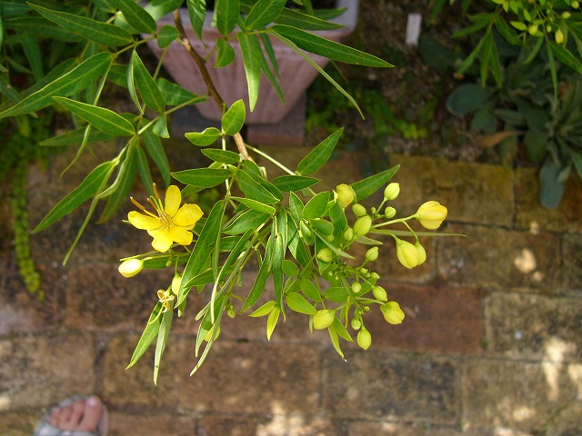 a0123003_12431259.jpg