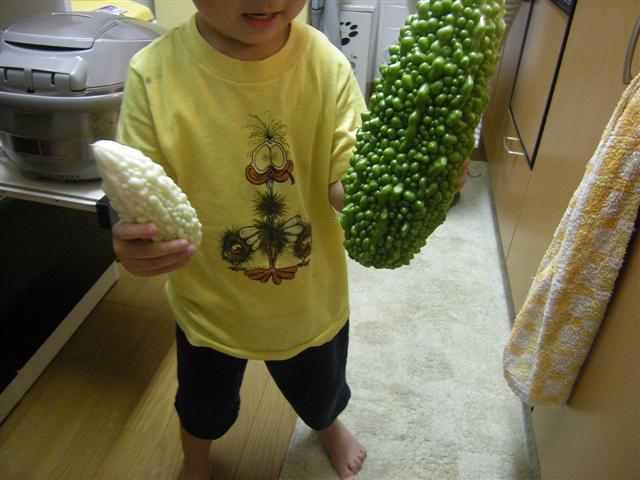 b0120103_18394447.jpg