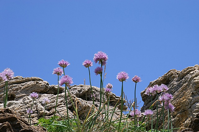 e0039703_1431757.jpg