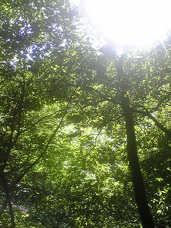 e0183004_1491030.jpg