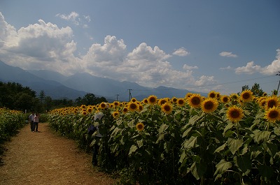 a0024005_17272083.jpg