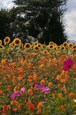 a0024005_17285534.jpg
