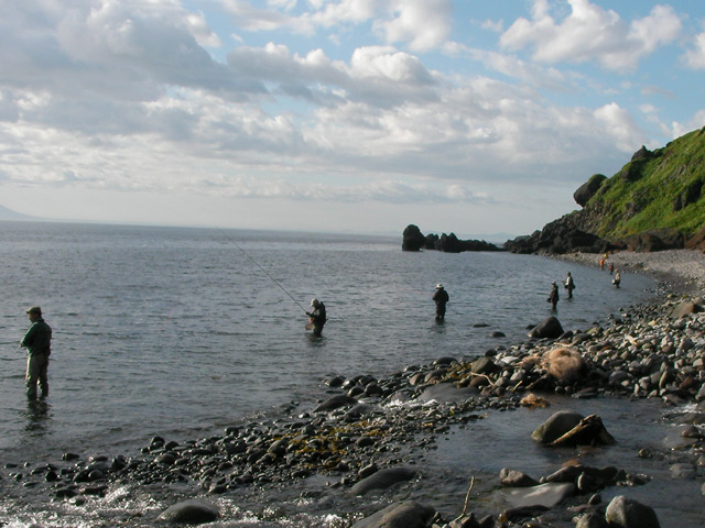 b0110205_942992.jpg