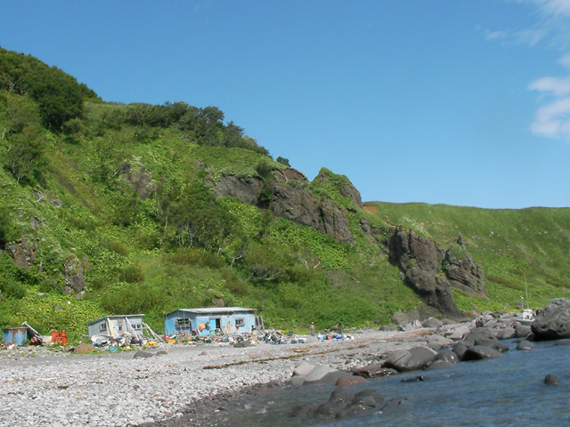 b0110205_9431515.jpg