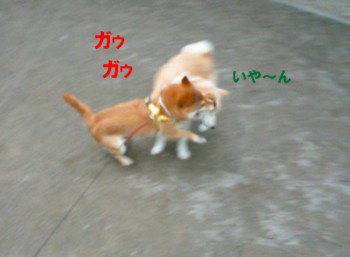e0131506_03445.jpg