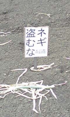 e0147206_12284879.jpg