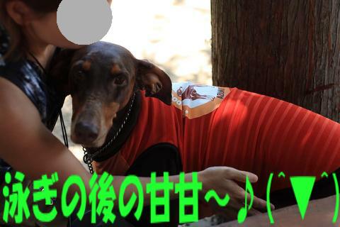 e0100007_21204045.jpg